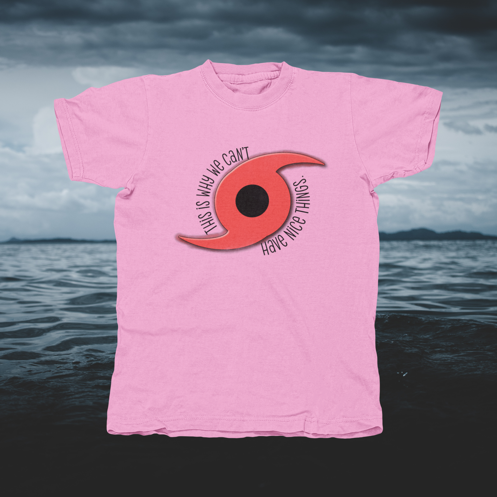 THIS IS WHY WE CAN'T HAVE NICE THINGS - front of tee